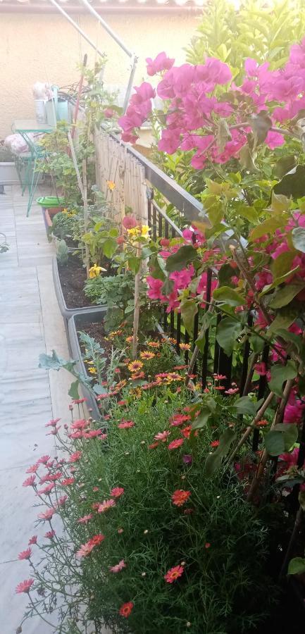 Aegina'S Flowers House Екстер'єр фото