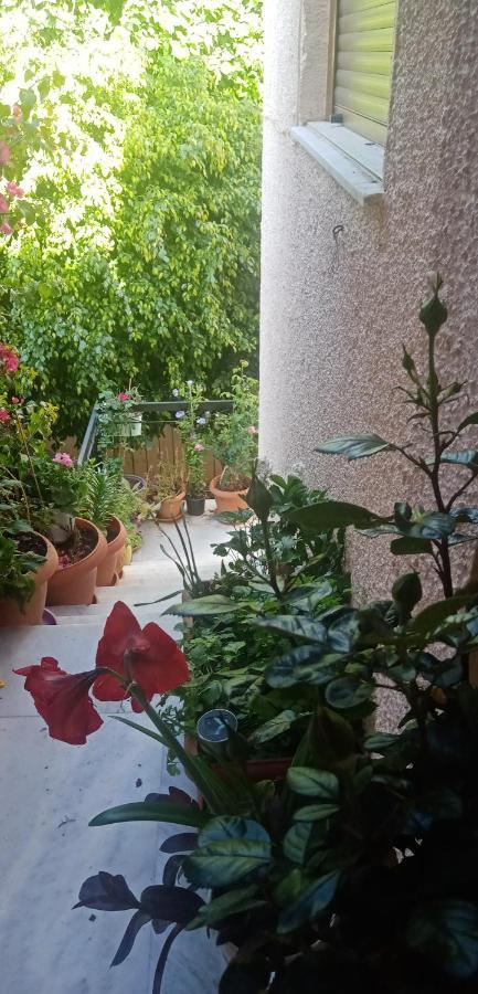 Aegina'S Flowers House Екстер'єр фото