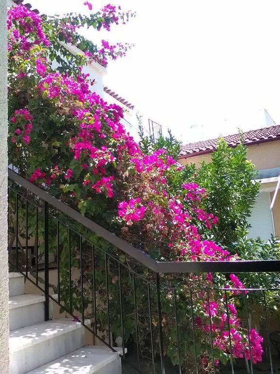 Aegina'S Flowers House Екстер'єр фото