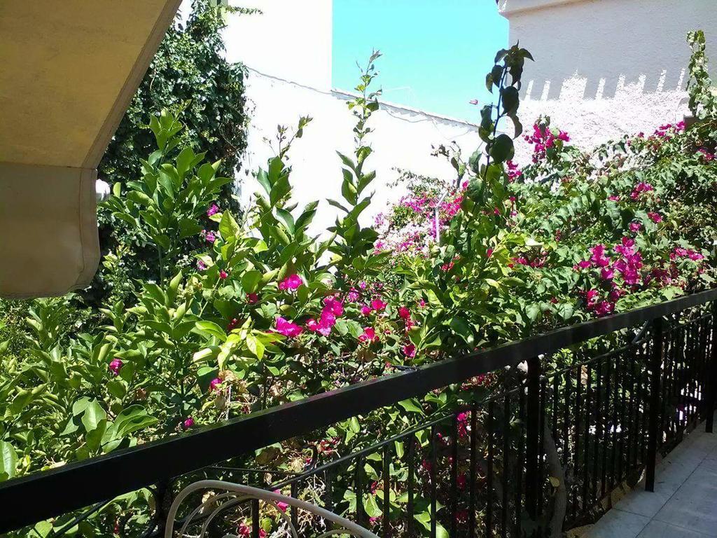 Aegina'S Flowers House Екстер'єр фото