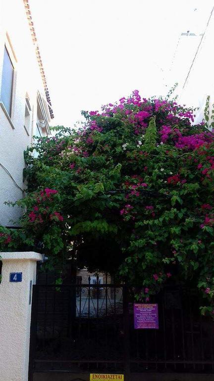 Aegina'S Flowers House Екстер'єр фото