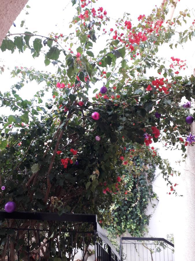 Aegina'S Flowers House Екстер'єр фото