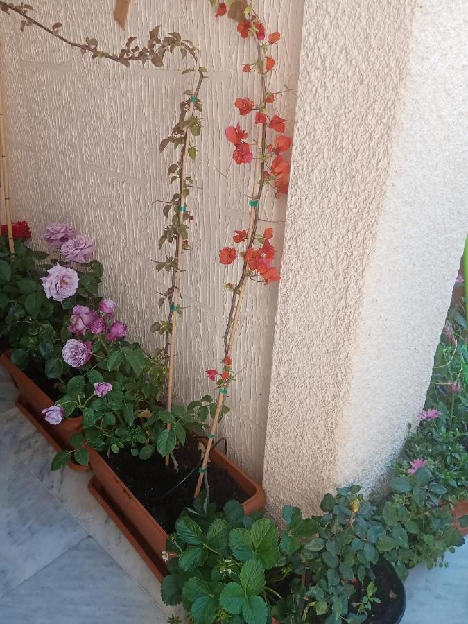 Aegina'S Flowers House Екстер'єр фото