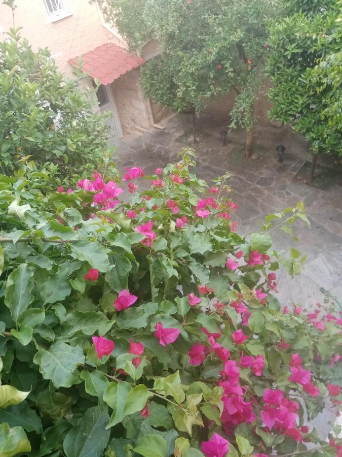 Aegina'S Flowers House Екстер'єр фото