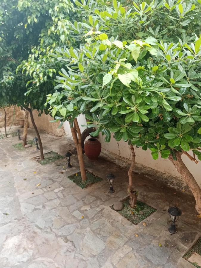 Aegina'S Flowers House Екстер'єр фото